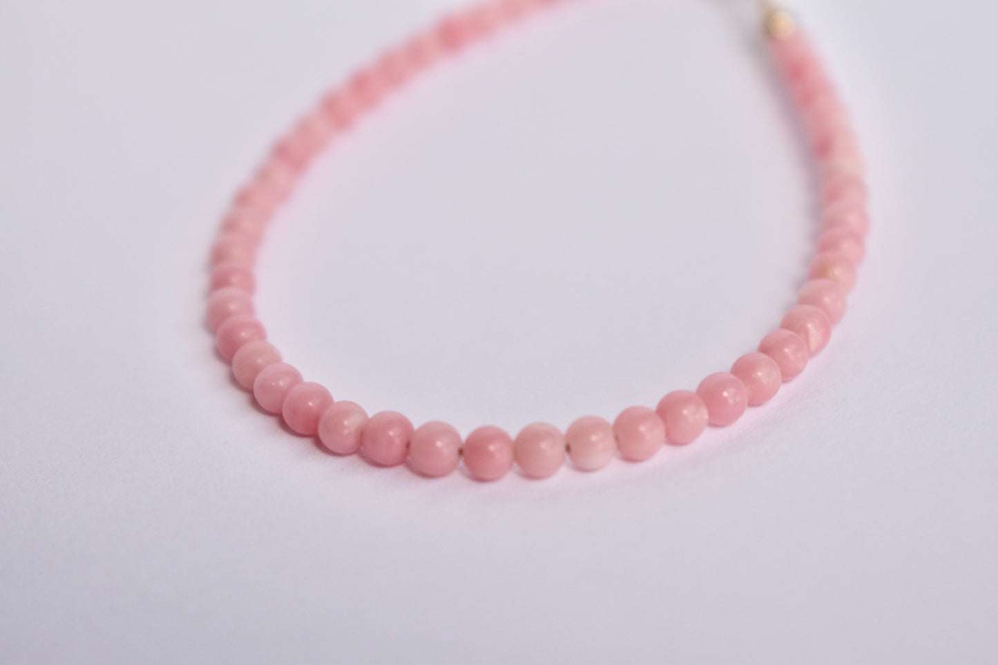 Bubblegum